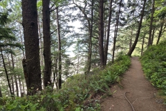 Cape-Falcon-first-hint-of-ocean