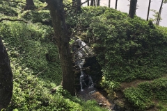 Cape-Falcon-small-waterfall
