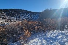 Capulin-Volcano-inner-rim-from-the-start-of-rim-trail