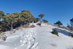 Capulin-Volcano-long-snowy-view-of-outer-rim-trail