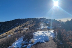 Capulin-Volcano-looking-up-the-rim-trail