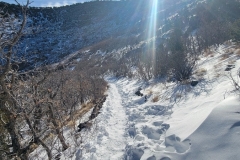 Capulin-Volcano-trail-to-the-bottom-with-snow