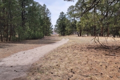 Casey-Jones-Park-wide-trail