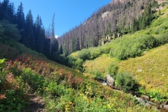 Cataract-Falls-First-opening-looking-up