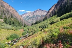 Cataract-Falls-Picturesque-meadow