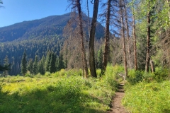 Cataract-Falls-first-trail-opening