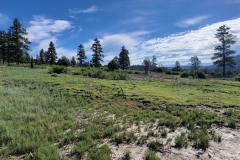 Chimney-Rock-National-Monument-NatureTrail-fieldview