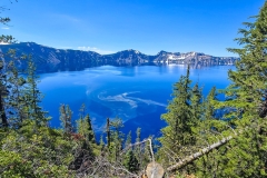 Cleetwood-Cove-pollen-wide