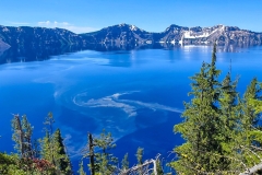 Cleetwood-Cove-pollen