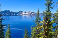 Cleetwood-Cover-Top-Mirror-between-trees