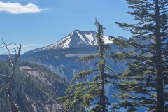 Cleetwood-Cover-distant-peak
