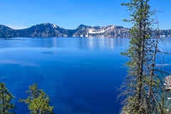 Cleetwood-Cover-good-mirror-and-pollen-three-qtr