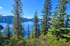 Cleetwood-Cover-top-through-the-trees