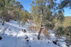 CLimax-Canyon-snowy-hillside-trail-open