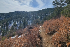 Climax-Canyon-narrow-hillside-trail-no-snow