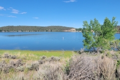 Crawford-State-Park-Early-Near-Beach