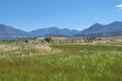 Crawford-State-Park-Wide-and-grassy