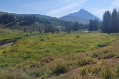 Crested-Butte-Lower-Loop-green-above-creek