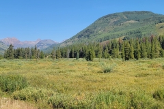 Crested-Butte-Lower-Loop-green-and-trees