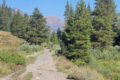 Crested-Butte-Lower-Loop-long-trail-through-trees