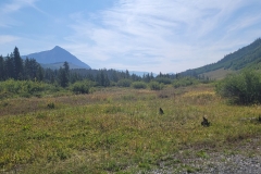 Crested-Butte-Lower-Loop-mountain-looking-at-town