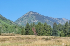Crested-Butte-Lower-Loop-mountains-with-trees