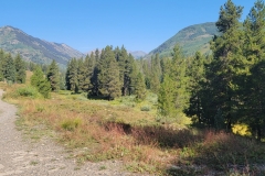Crested-Butte-Lower-Loop-trail-to-the-meadow