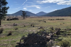 Cub-Lake-and-Pool-Loop-Meadow-Hills