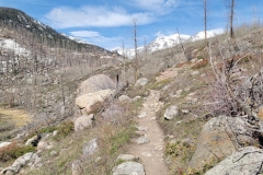 Cub-Lake-and-Pool-Loop-trail-next-to-lake