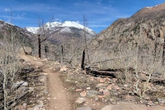 Cub-Lake-and-Pool-Loop-trail-to-the-Pools