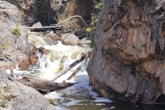 Cub-Lake-and-Pool-Pools