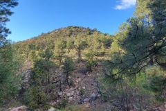 Dale-Ball-Picacho-Peak-peak-through-the-trees