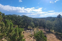 Dale-Ball-Trail-Picacho-Peak-Early-Tree-field
