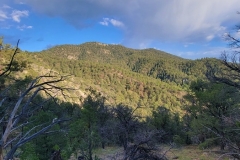 Dale-Ball-Trails-Picacho-Peak-hillside-with-shadows