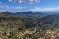 Dale-Ball-Trails-down-the-north-valley