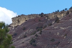 Dawson-Butte-Butte-close-up