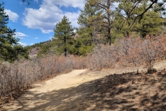 Dawson-Butte-Dirt-Trail