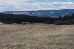 Dawson-Butte-Field-View