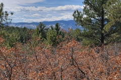Dawson-Butte-Layers