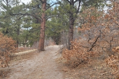 Dawson-Butte-Trail-Start