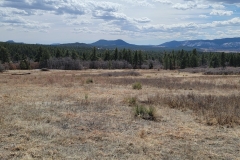 Dawson-Butte-another-field-view
