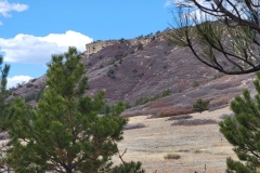 Dawson-Butte-early-Butte-views-through-trees