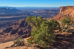 Dead-Horse-Rim-Loop-mid-first-canyon