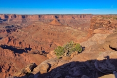 dead-horse-rim-loop-oppo-wide-canyon