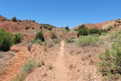 Desert-Voices-Early-Opening