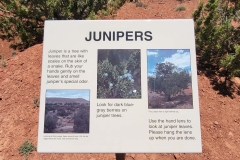 Desert-Voices-Juniper-sign