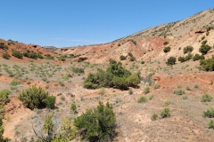 Desert-Voices-Red-Bowl-Lower