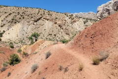 Desert-Voices-closing-trail-through-red-dune