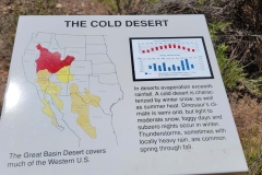 Desert-Voices-cold-desert-sign