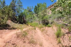 Desert-Voices-first-cross-road